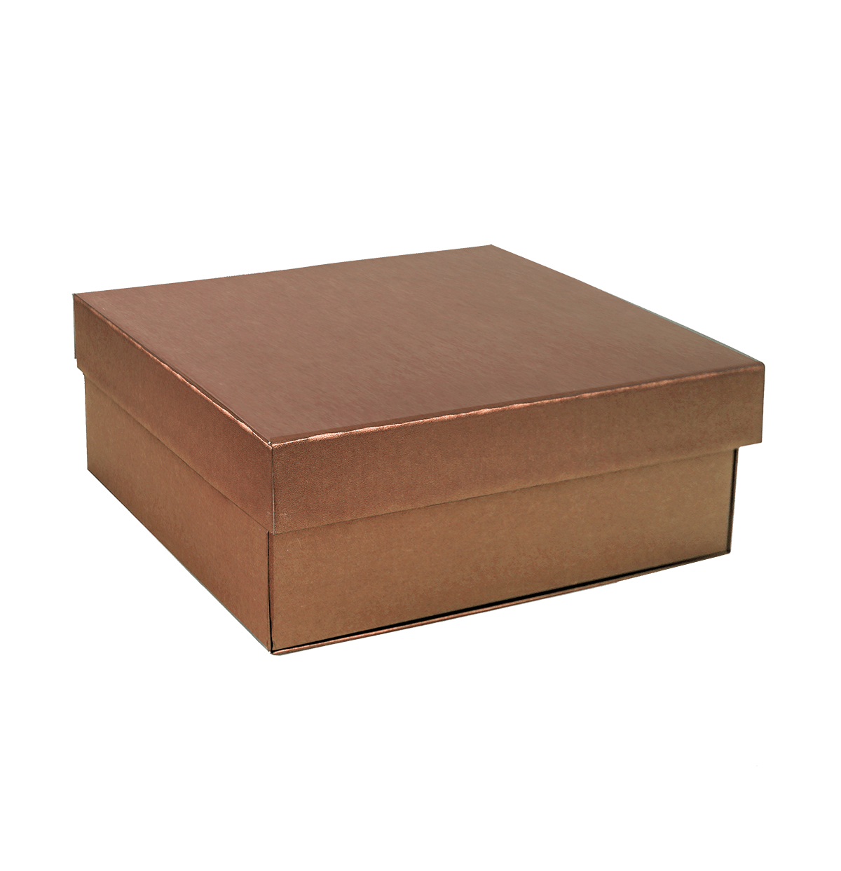 Large Lift Of Lid Bronze Majestic Metallic - CustomF2FBox