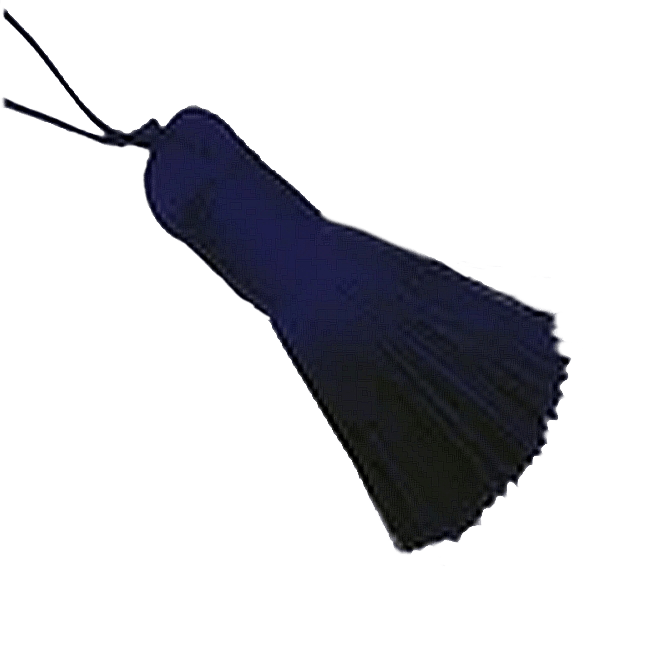 Navy Tassel - CustomF2FBox