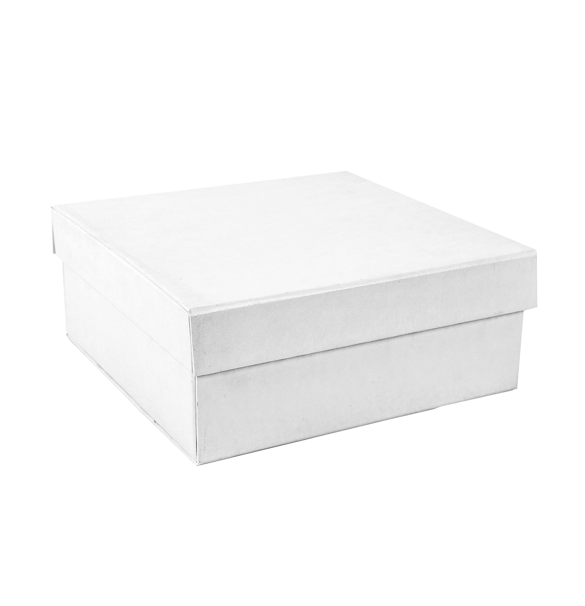 Sample Of Large Lift Of Lid Ivory Majestic Metallic - CustomF2FBox